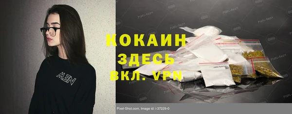 шишки Балабаново