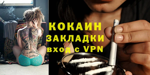 шишки Балабаново